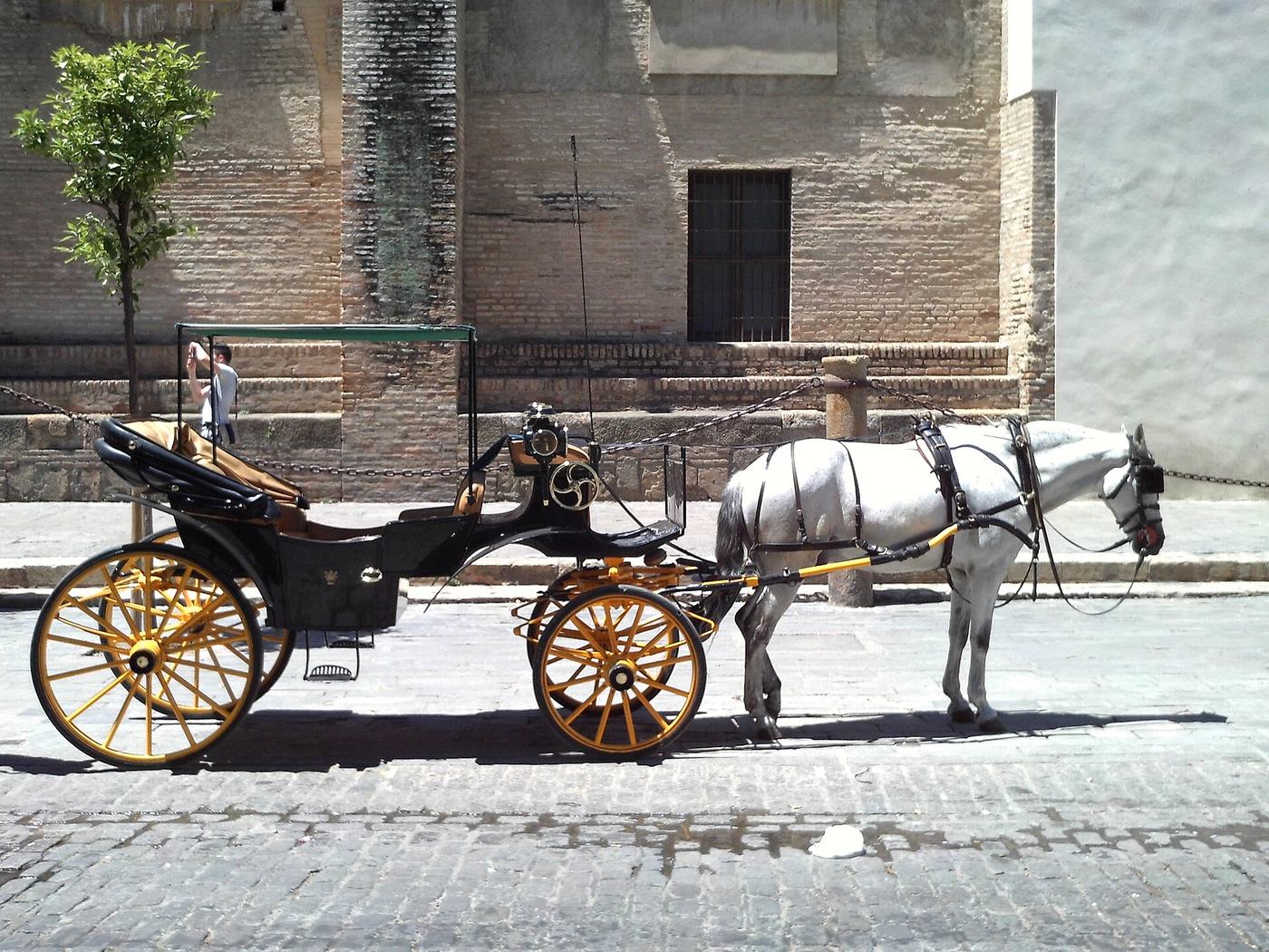 Coche de caballos engalanado en una calle de Sevilla