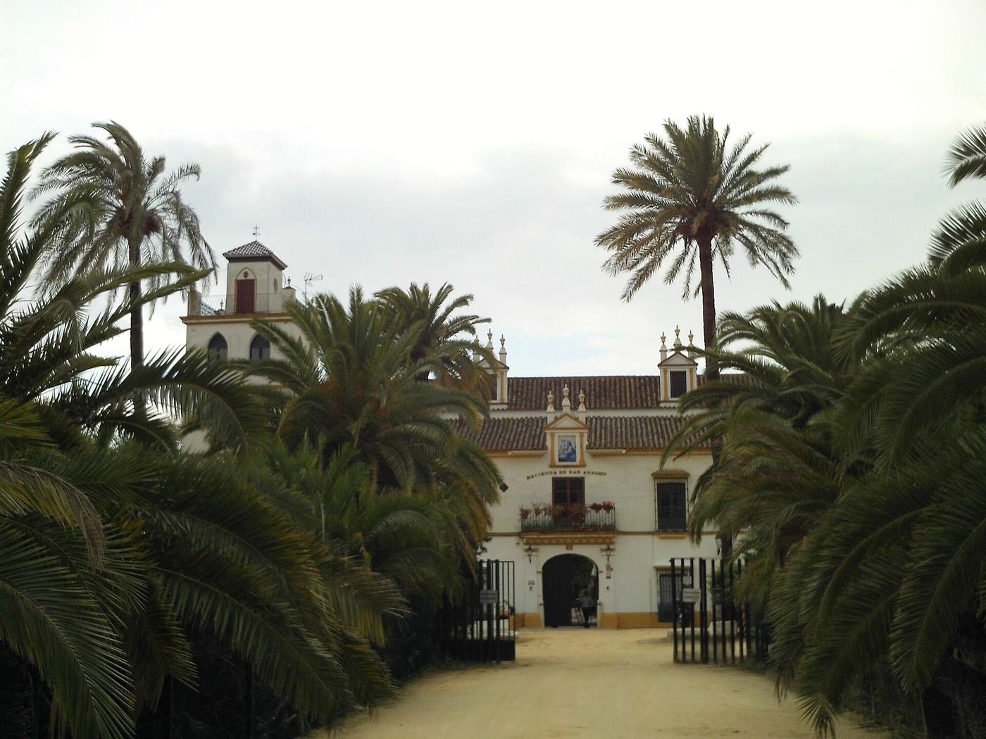 Hacienda andaluza al fondo de una avenida de palmeras